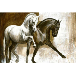 00028 - Caballos