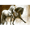 00028 - Caballos