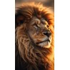 00037 - Leones