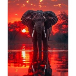 00048 - Elefante