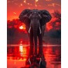 00048 - Elefante