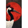 00067 - Aves