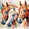 00070 - Caballos