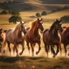 00071 - Caballos