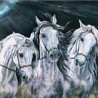 00072 - Caballos