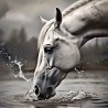 00072 - Caballos
