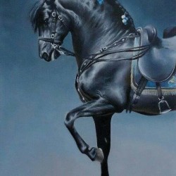 00073 - Caballos
