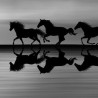 00073 - Caballos