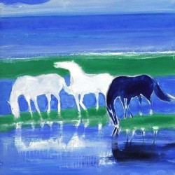 00074 - Caballos