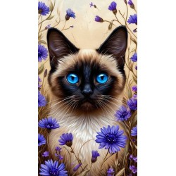 00079 - Gatos