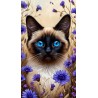 00079 - Gatos