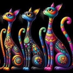 00079 - Gatos